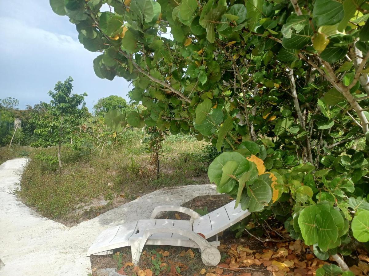 فيلا "Le Champs" Des Oiseaux Anse-Bertrand المظهر الخارجي الصورة