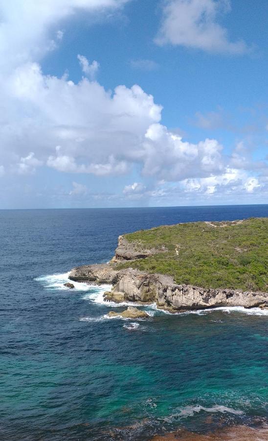 فيلا "Le Champs" Des Oiseaux Anse-Bertrand المظهر الخارجي الصورة